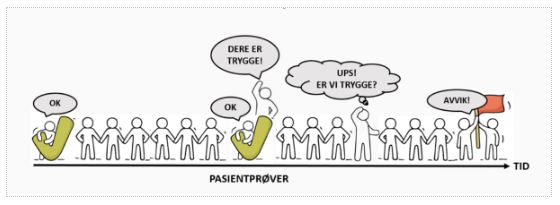 Figur 2: Godkjent kontrollresultat er markert med grønn hake.